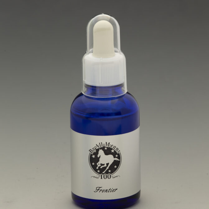 世界107ヶ国<br />
国際グランプリ最優秀